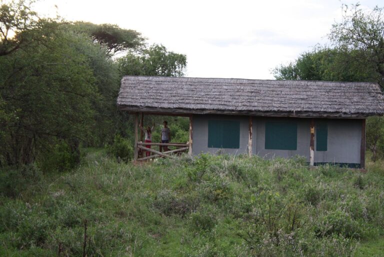 kirurumu tarangire lodge