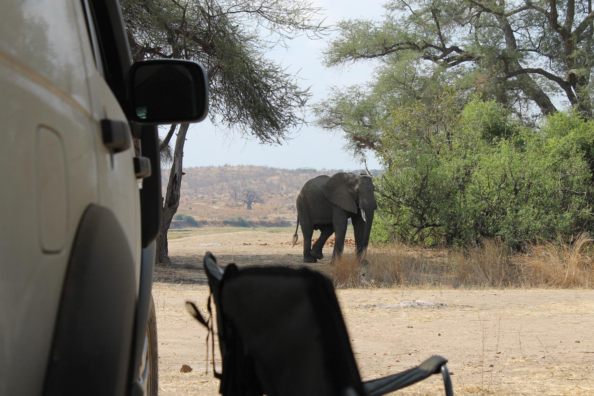 ruaha-national-park (3)