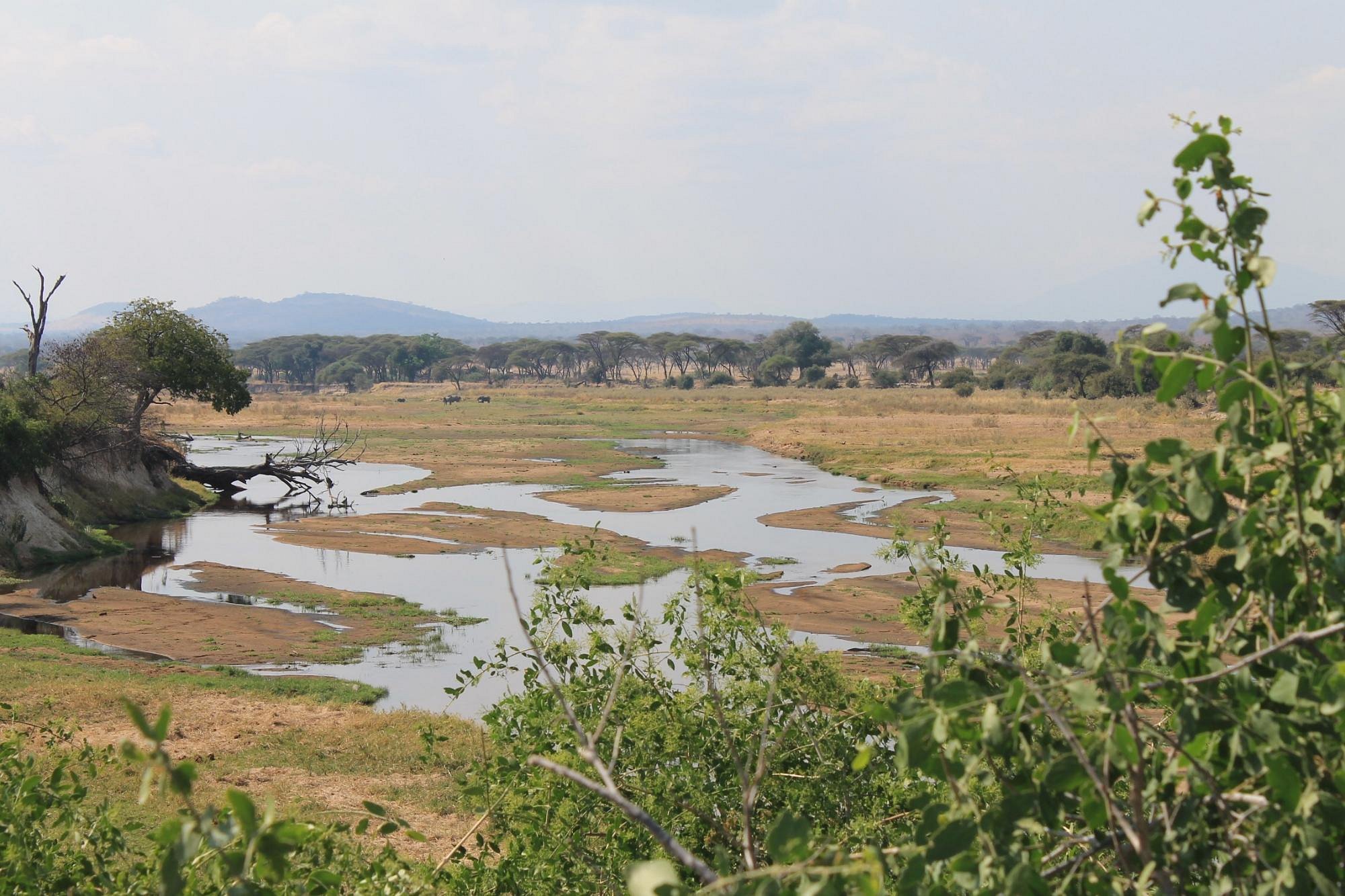 ruaha-national-park (4)