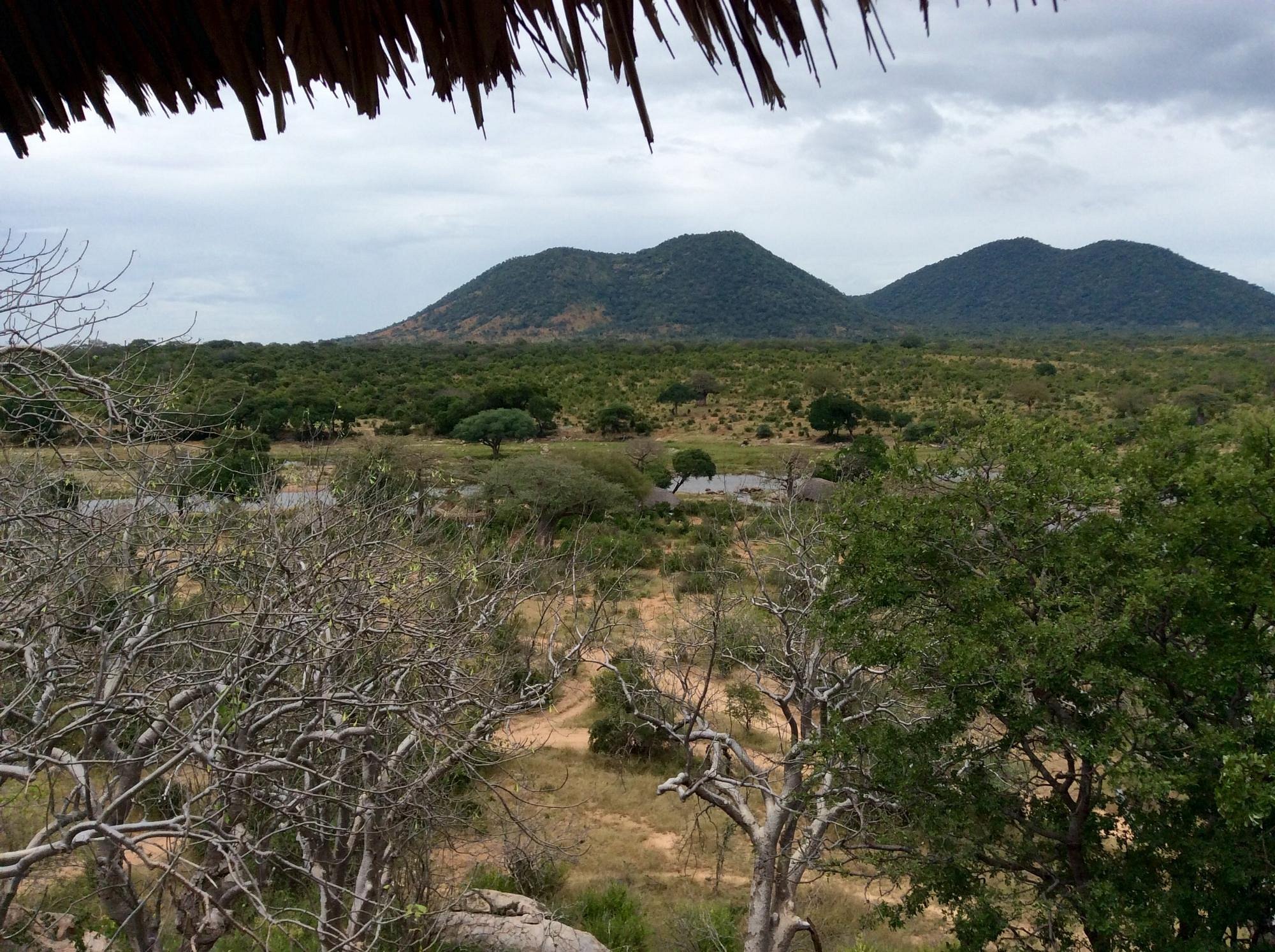 ruaha-national-park (5)