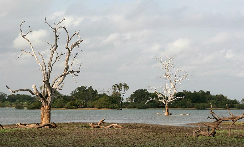 selous-game-reserve